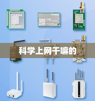 科学上网干嘛的