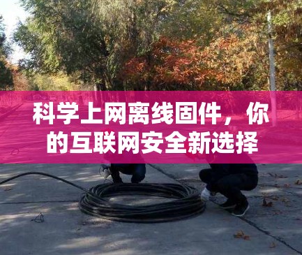 科学上网离线固件，你的互联网安全新选择