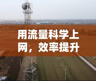 用流量科学上网，效率提升与用户体验优化
