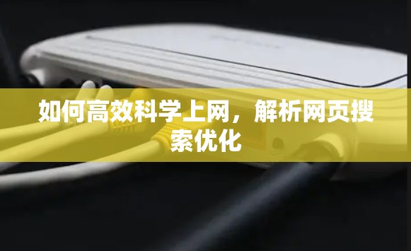 如何高效科学上网，解析网页搜索优化
