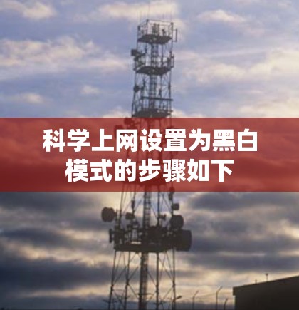科学上网设置为黑白模式的步骤如下