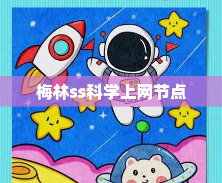 梅林ss科学上网节点