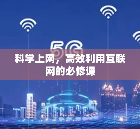 科学上网，高效利用互联网的必修课