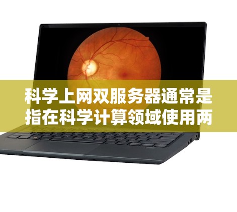 科学上网双服务器通常是指在科学计算领域使用两个服务器来提供更高的支持和效率。以下是一个详细的解释