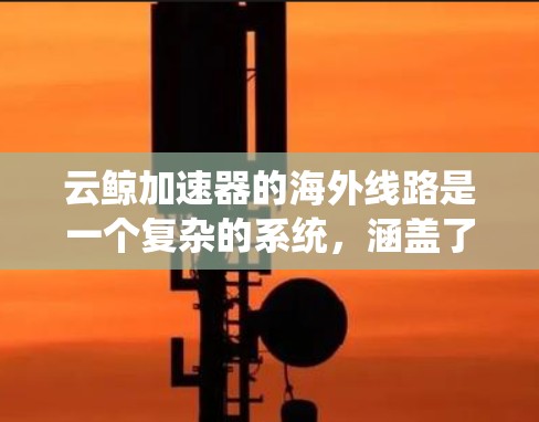 云鲸加速器的海外线路是一个复杂的系统，涵盖了多个关键领域，以下是对该系统海外线路的详细分析