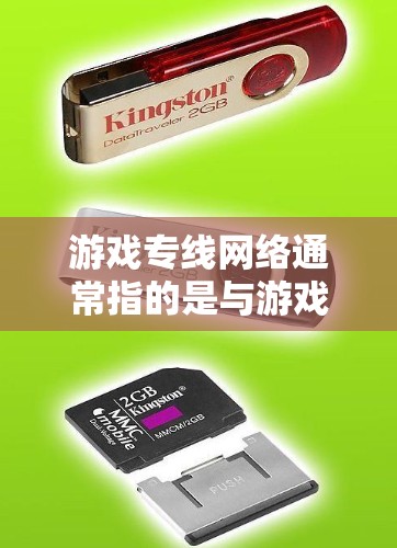 游戏专线网络通常指的是与游戏相关的网络服务，通常包括以下方面