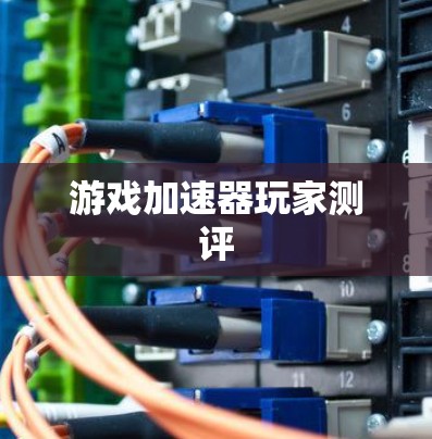 游戏加速器玩家测评