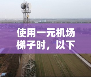 使用一元机场梯子时，以下是分步骤的操作指南