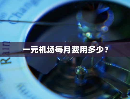 一元机场每月费用多少？