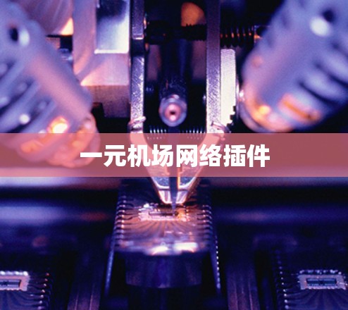 一元机场网络插件
