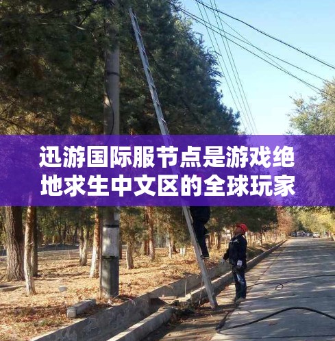 迅游国际服节点是游戏绝地求生中文区的全球玩家群组，玩家可以通过这些节点与其他玩家交流，获取资源和装备。以下是一些关于迅游国际服节点的详细信息