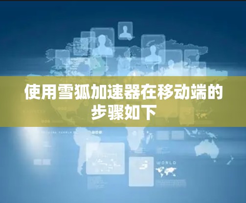 使用雪狐加速器在移动端的步骤如下