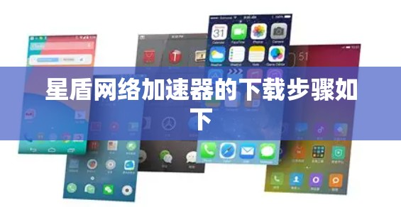 星盾网络加速器的下载步骤如下