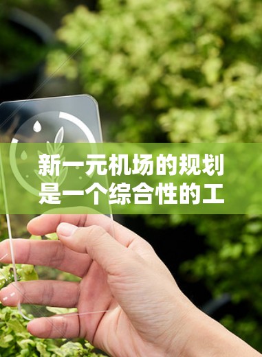 新一元机场的规划是一个综合性的工程，涉及多个方面，包括交通、经济、文化、环境等多个维度。以下是一些关键点，帮助你理解新一元机场的规划