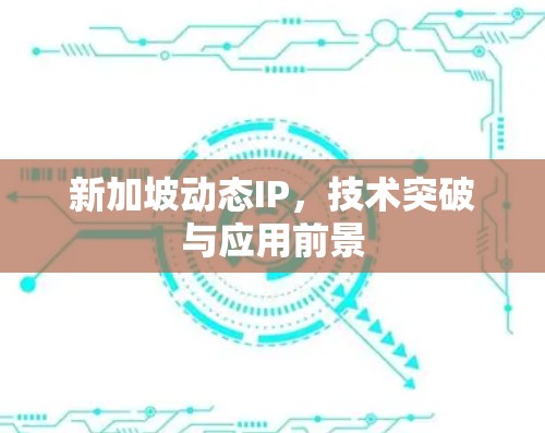 新加坡动态IP，技术突破与应用前景