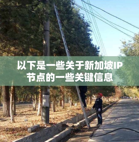 以下是一些关于新加坡IP节点的一些关键信息