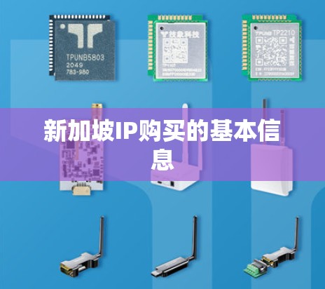 新加坡IP购买的基本信息
