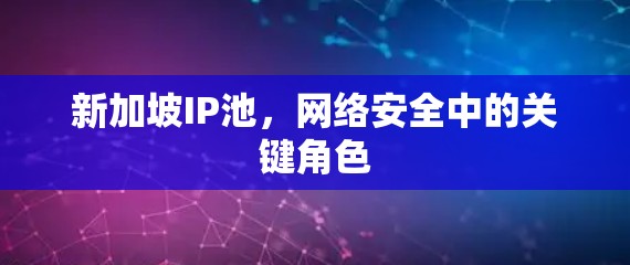 新加坡IP池，网络安全中的关键角色