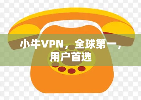 小牛VPN，全球第一，用户首选