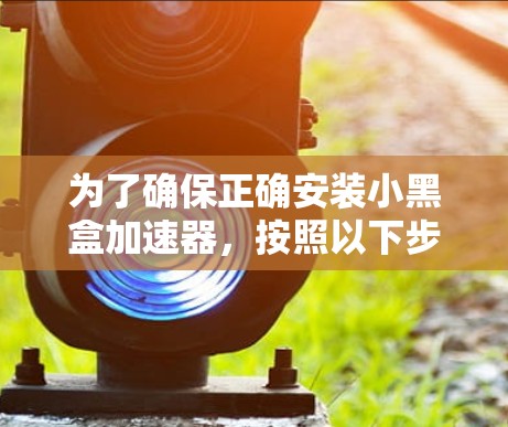 为了确保正确安装小黑盒加速器，按照以下步骤操作