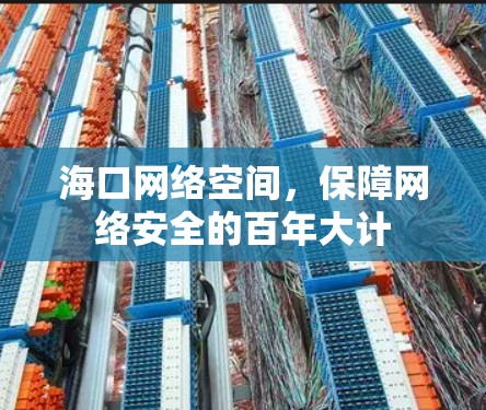 海口网络空间，保障网络安全的百年大计