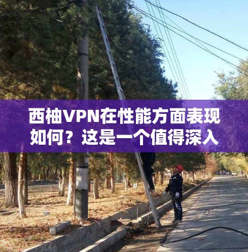 西柚VPN在性能方面表现如何？这是一个值得深入探讨的问题，尤其是在考虑VPN选择时。以下是关于西柚VPN性能分析的主要方面