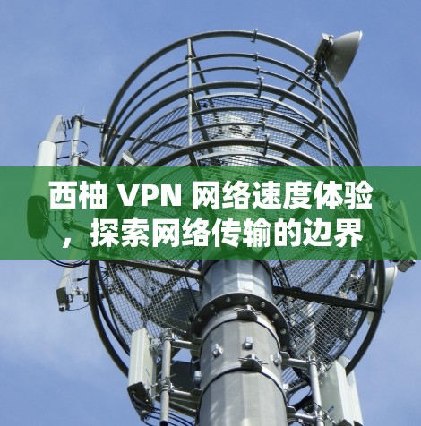 西柚 VPN 网络速度体验，探索网络传输的边界
