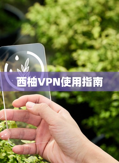 西柚VPN使用指南
