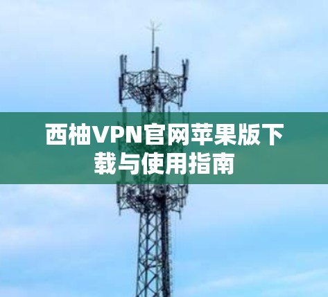 西柚VPN官网苹果版下载与使用指南