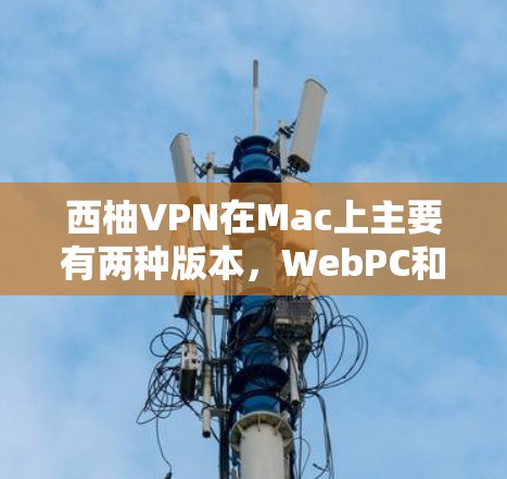 西柚VPN在Mac上主要有两种版本，WebPC和直接下载。以下是关于西柚VPNMac版的详细说明