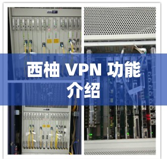 西柚 VPN 功能介绍