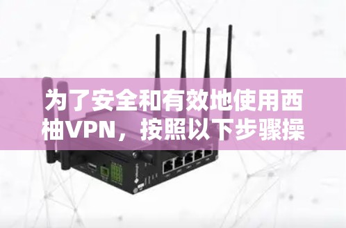 为了安全和有效地使用西柚VPN，按照以下步骤操作