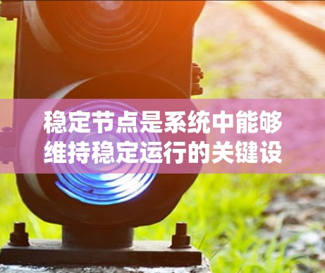 稳定节点是系统中能够维持稳定运行的关键设备或组件，确保在故障或波动发生时能够快速恢复到稳定状态。以下是对稳定节点的详细总结