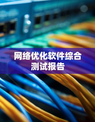 网络优化软件综合测试报告