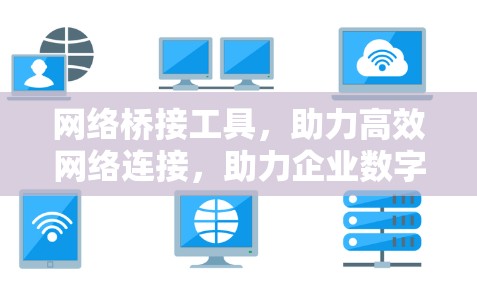 网络桥接工具，助力高效网络连接，助力企业数字化发展
