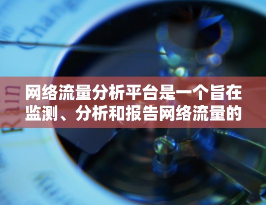 网络流量分析平台是一个旨在监测、分析和报告网络流量的数据分析工具，广泛应用于企业网络监控和网络安全领域。这些平台通常具备以下关键特点和功能