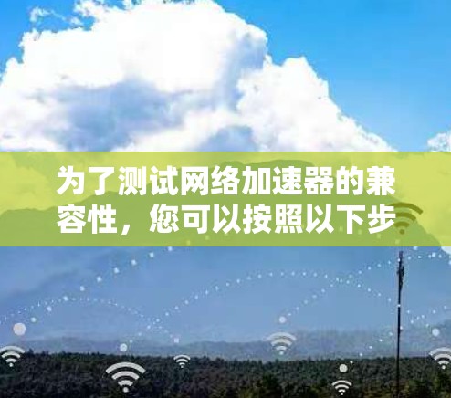 为了测试网络加速器的兼容性，您可以按照以下步骤进行
