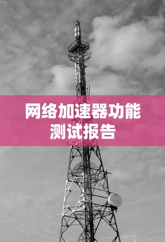 网络加速器功能测试报告