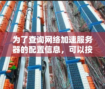 为了查询网络加速服务器的配置信息，可以按照以下步骤进行操作