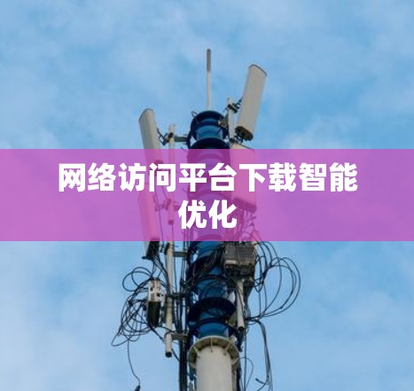 网络访问平台下载智能优化
