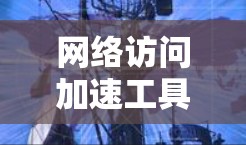 网络访问加速工具是提升网络效率和稳定性的重要工具，适用于不同用户和场景。以下是详细介绍
