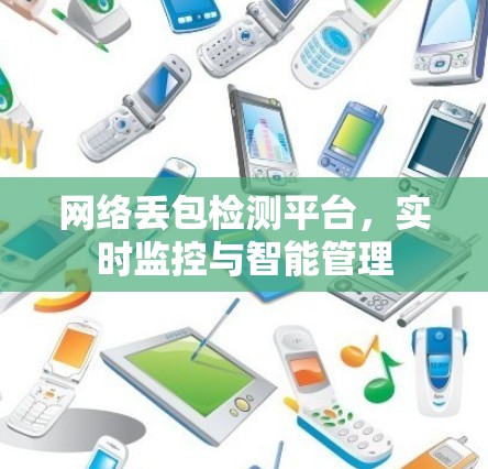 网络丢包检测平台，实时监控与智能管理
