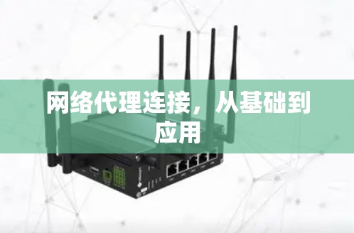 网络代理连接，从基础到应用