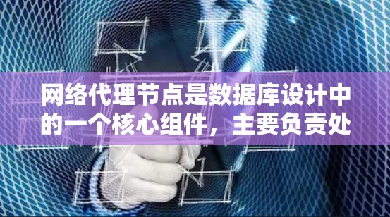 网络代理节点是数据库设计中的一个核心组件，主要负责处理事务和跨站脚本的安全性，并确保数据的同步和一致性。以下是对网络代理节点的详细说明