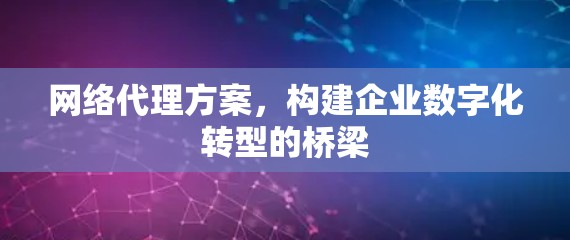网络代理方案，构建企业数字化转型的桥梁