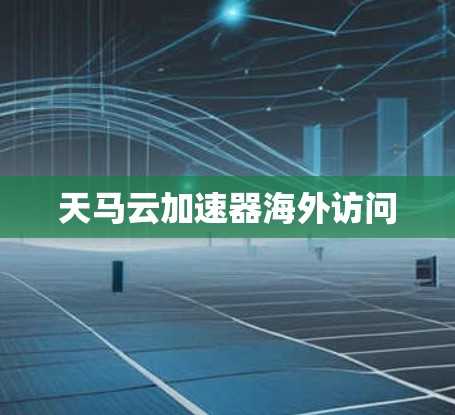 天马云加速器海外访问