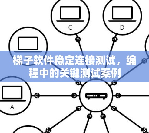 梯子软件稳定连接测试，编程中的关键测试案例