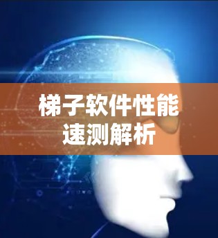 梯子软件性能速测解析