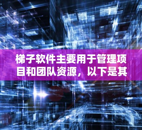 梯子软件主要用于管理项目和团队资源，以下是其基本使用方法