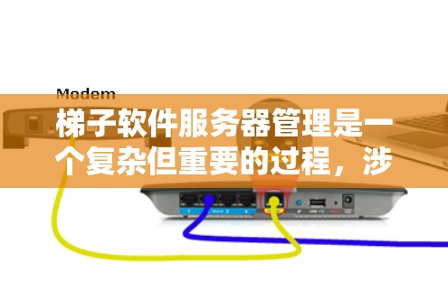 梯子软件服务器管理是一个复杂但重要的过程，涉及监控、资源分配和日志管理等多个方面。以下是对这一过程的详细总结和解析